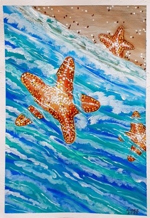 Sea Star