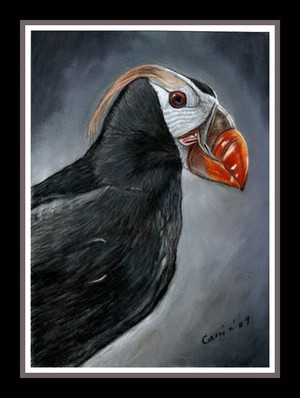 nc art orig pastel tufted puffin