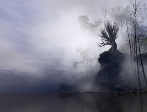 Misty River Bank