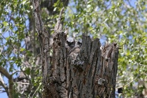 Thomas Curry Portfolio