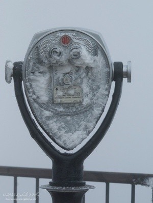 The Mount Washington Viewer