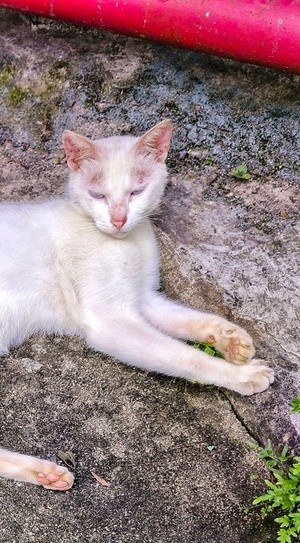 having a good nap