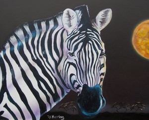 Zebra at Night