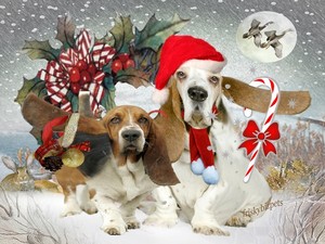 Bassetts The Spirit Of Christmas