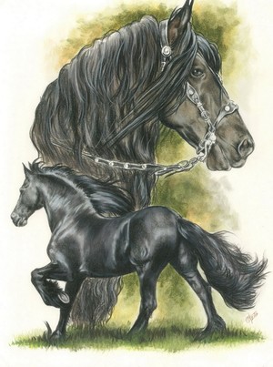 Friesian