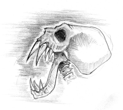 Skull with sharp teeth