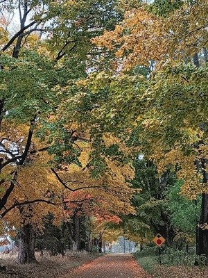 ANOTHER LOOK BEFORE WINTER