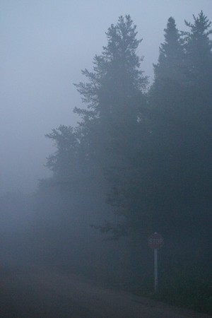 Foggy Lane