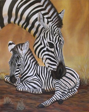 Masai Morning -Zebra