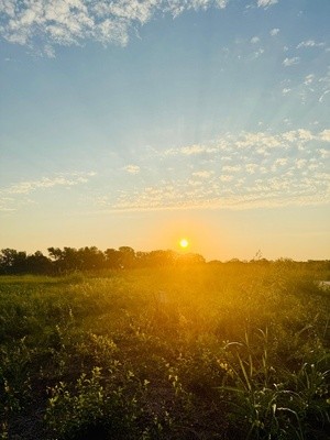 Sunrise on Texas Prairie