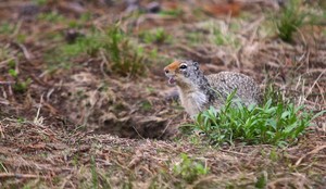 Thomas Curry Portfolio