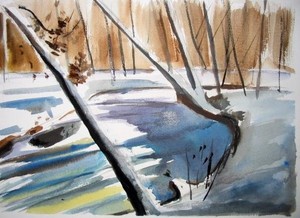 Winter Creek