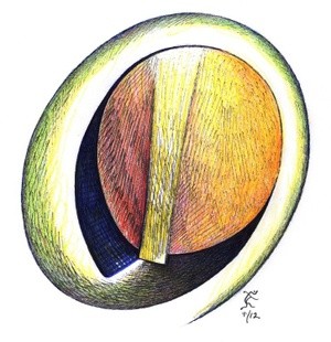 Eclipsed B Ego