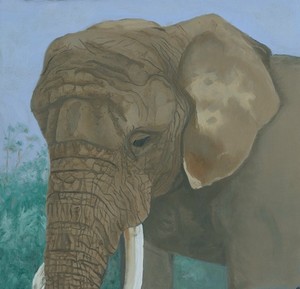 Elephant(Toronto Zoo)