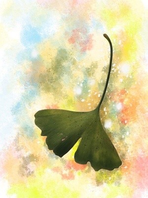 Floating gingko leaf