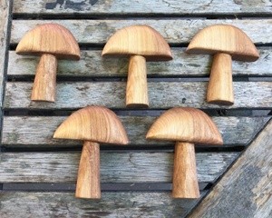 Mushrooming