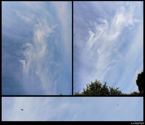 James Anderson Portfolio