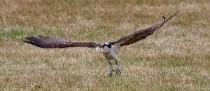 Thomas Curry Portfolio