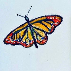 Butterfly 