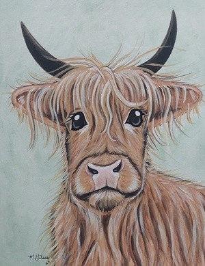 Highland Cow Looking All Cute