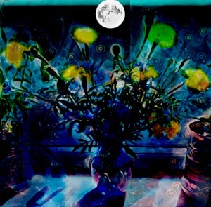 Flowers in vase by moon light