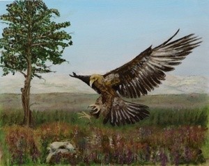 Golden Eagle – Highlands