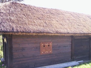 Tatjana Prelog Portfolio