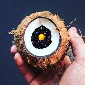 coconut shell manipulation