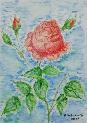Uma rosa que me deram