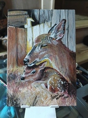 Fawn Love