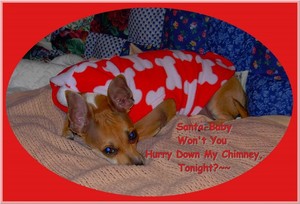 Santa-Baby Won't You Hurry Down My Chimney,Tonight