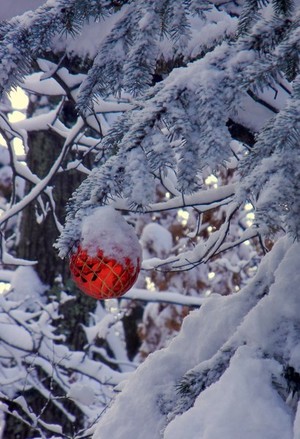 RED BALL