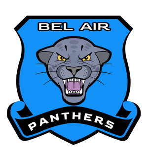 Panthers Logo