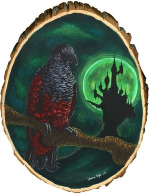 shannonEagle draculaParrot
