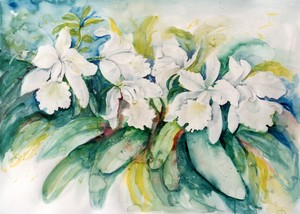 White Orchids (Edgebrook Center)