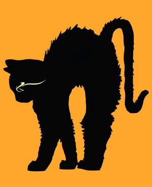 Halloween cat (Black & Orange)