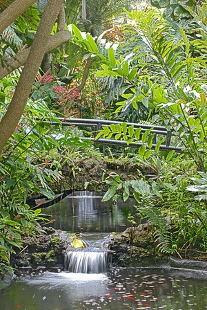 Two Waterfalls in Sunken Gardens