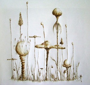 Shroom Skyline