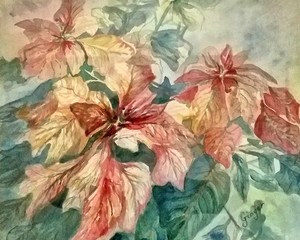 Merry Christmas Day with Poinsettia! (Copyright)