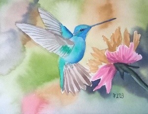 hummingbird