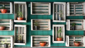 Flower Pots, Fruit Cages - Decorated Wall