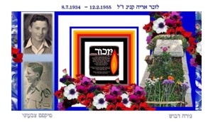 Nira Dabush Portfolio