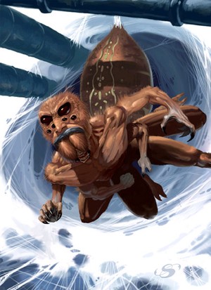 Arachnoid