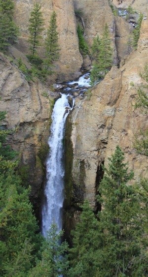 Waterfall Stream
