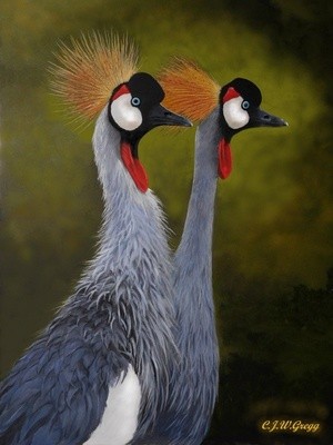 African Crowned Cranes