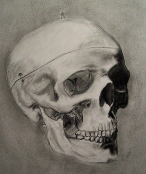 Skull