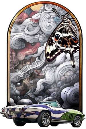 -Butterfly Car(12)