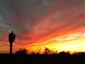 Superstition Sunset