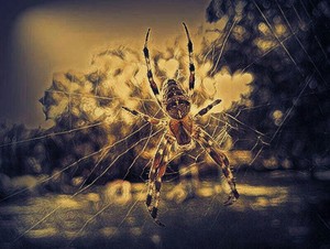 Along Came a Spider 4