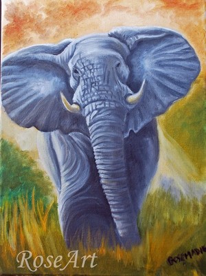 Elephant